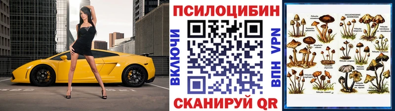 Галлюциногенные грибы MAGIC MUSHROOMS  как найти закладки  мега маркетплейс  Онега 